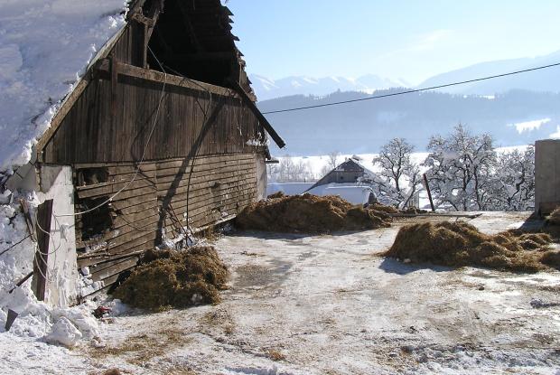 Avalanche 2008