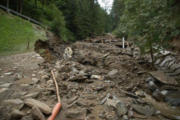 torrent 2008