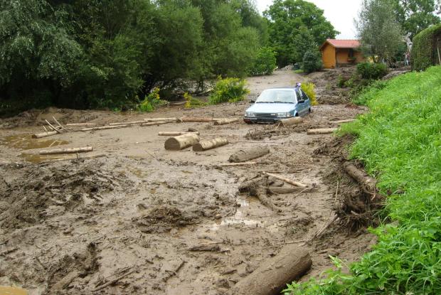 torrent 2007